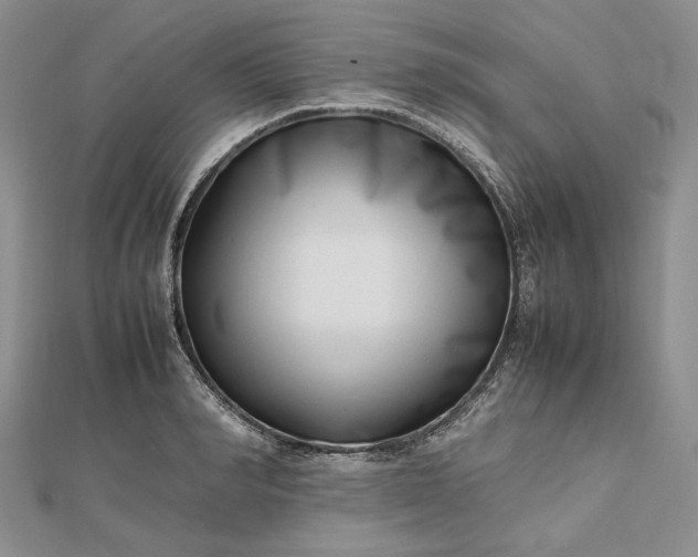 X0000112490990200908311428