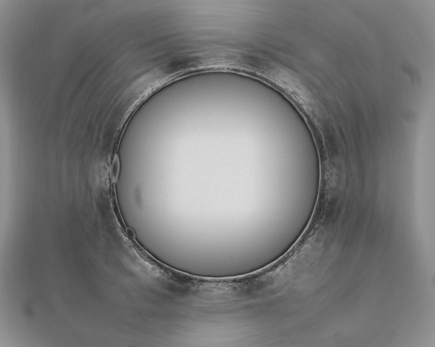 X0000112490993200908311428