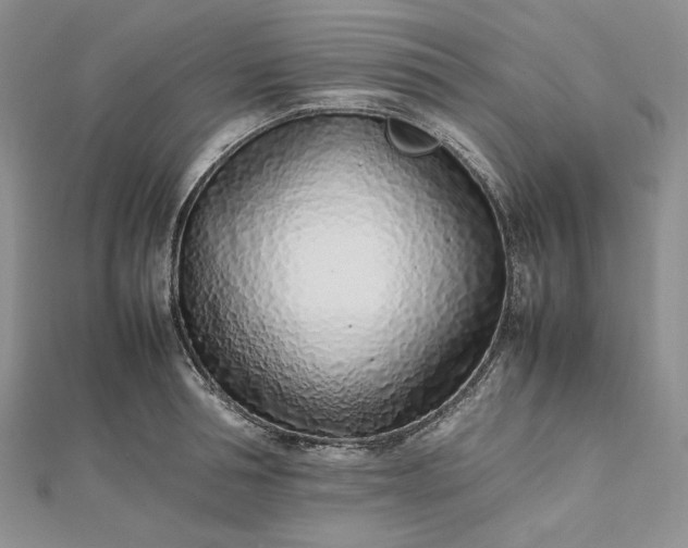 X0000112490994200908311428