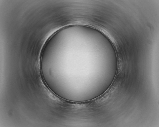 X0000112490996200908311428