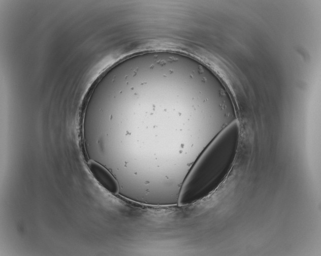 X0000112490997200908311428