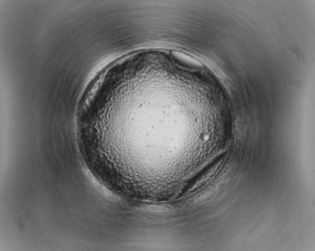 X0000112490998200908311428