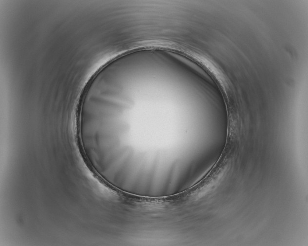 X0000112490999200908311428