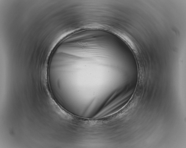 X0000112491000200908311428