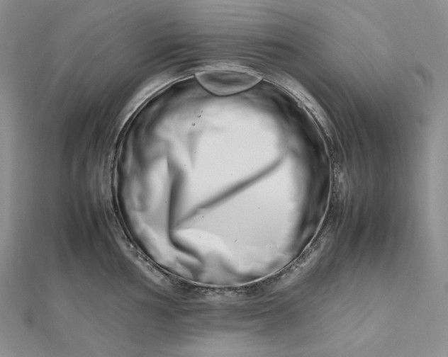 X0000112491002200908311428