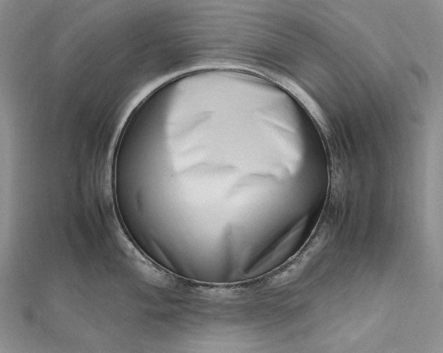 X0000112491004200908311428