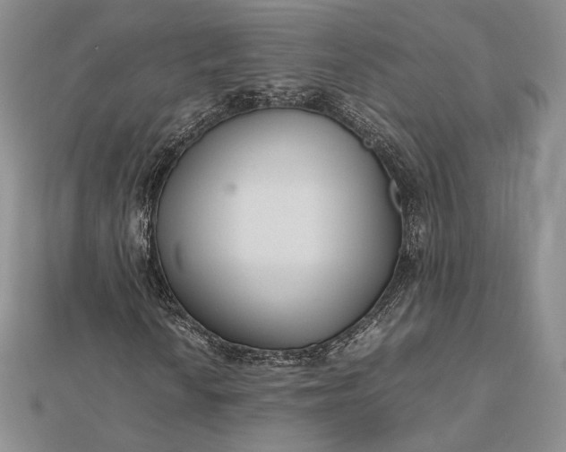 X0000112491010200908311427