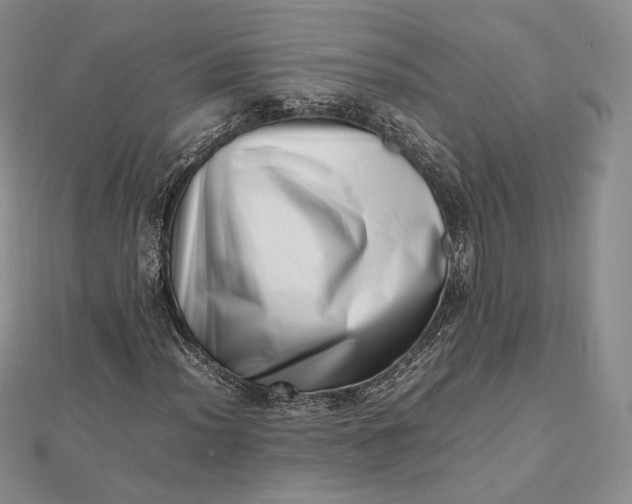 X0000112491012200908311427