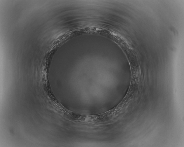 X0000112491013200908311427