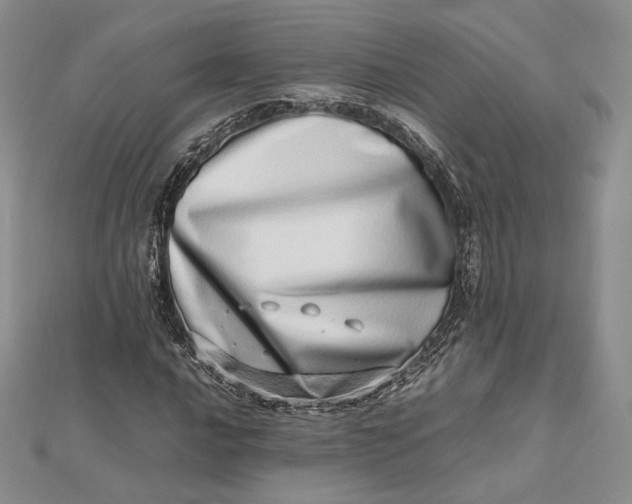 X0000112491016200908311427