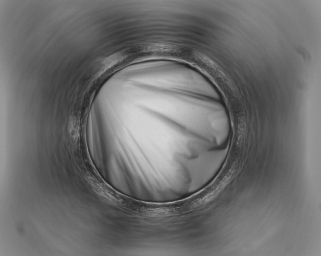 X0000112491017200908311427