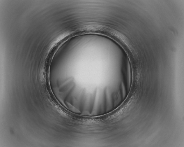 X0000112491018200908311427