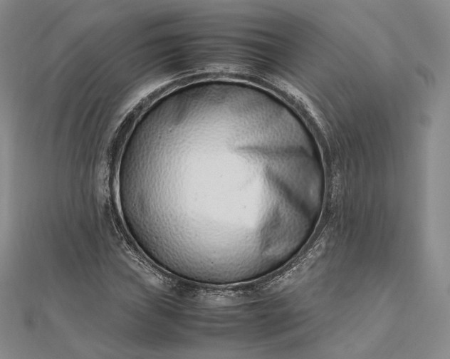 X0000112491019200908311427