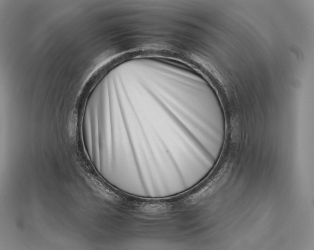 X0000112491021200908311427