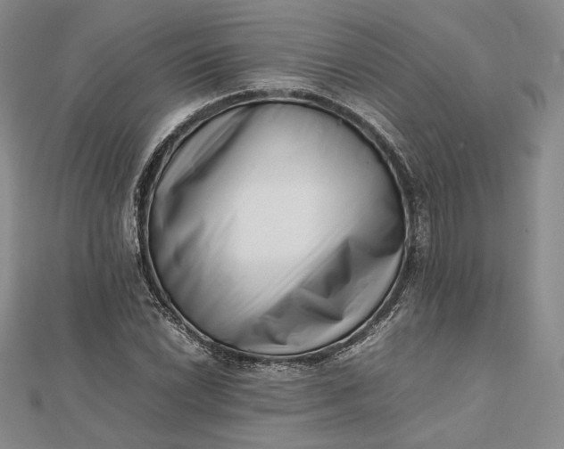 X0000112491022200908311427