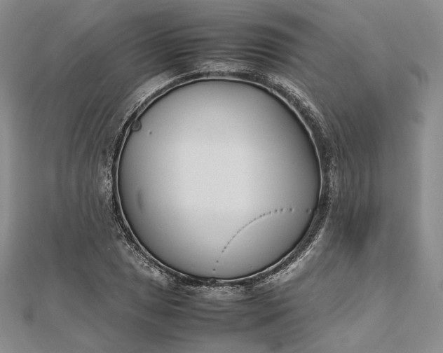 X0000112491025200908311427