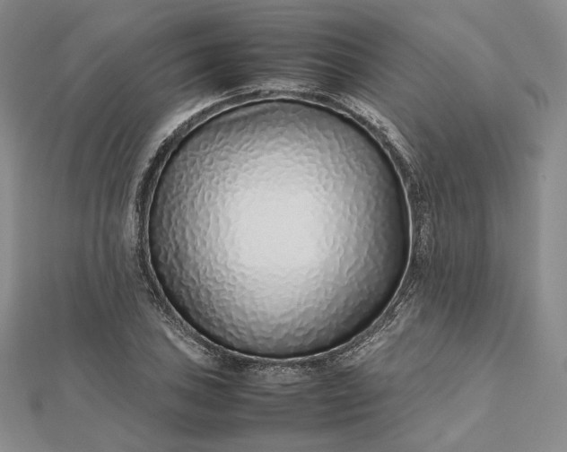 X0000112491027200908311427