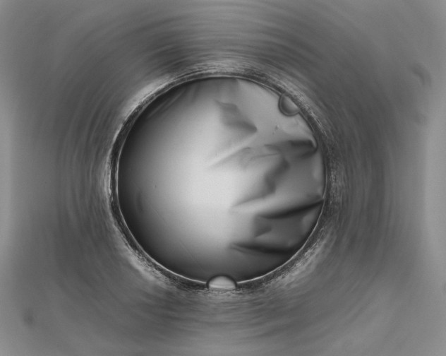 X0000112491034200908311428