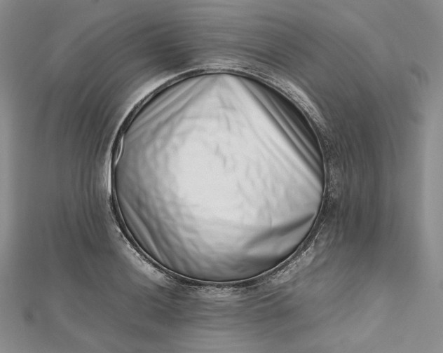 X0000112491036200908311428