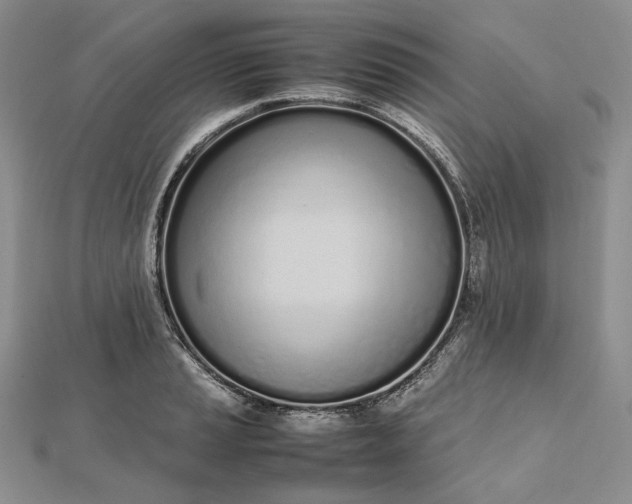 X0000112491037200908311428