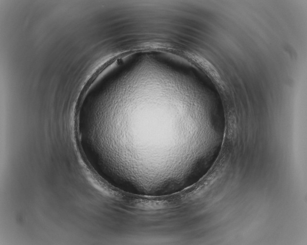 X0000112491039200908311428