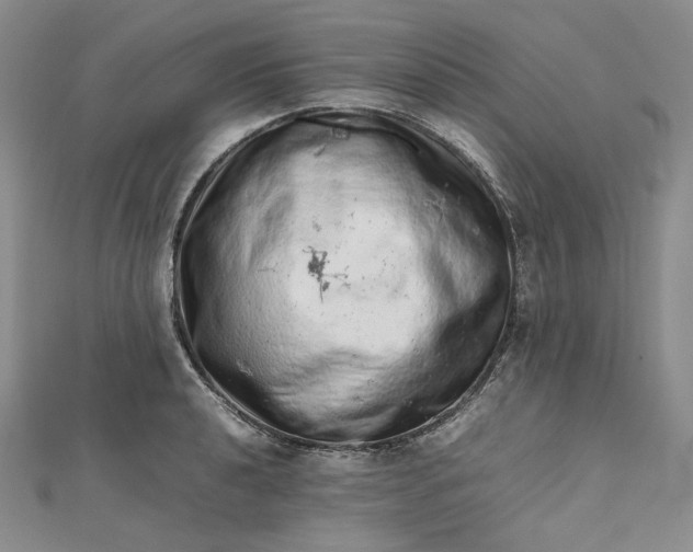 X0000112491040200908311428