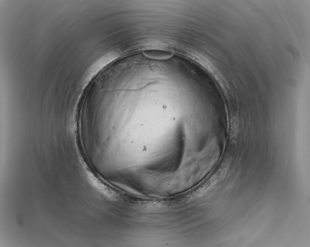 X0000112491042200908311428