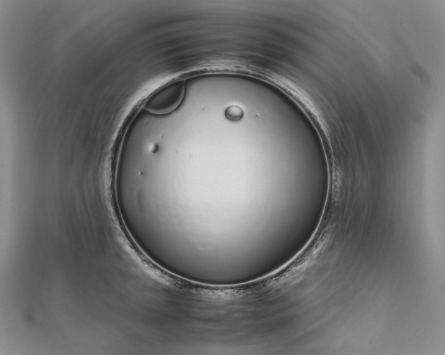 X0000112491045200908311428