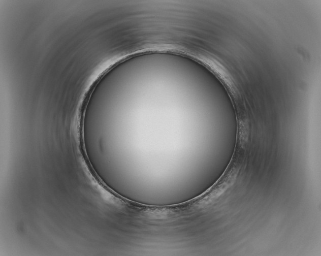 X0000112491046200908311428