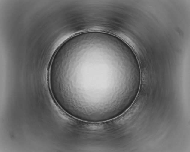 X0000112491047200908311428