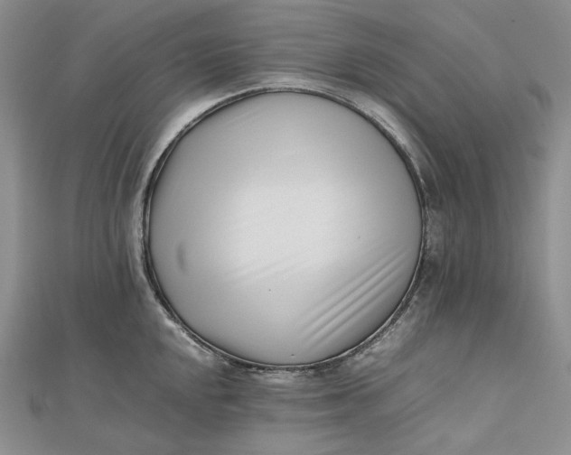 X0000112491048200908311428