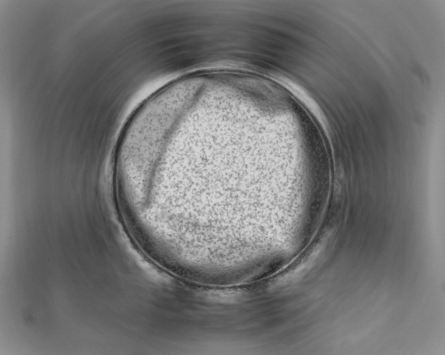 X0000112491053200908311428