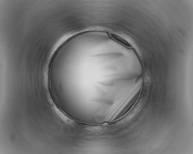 X0000112491054200908311428