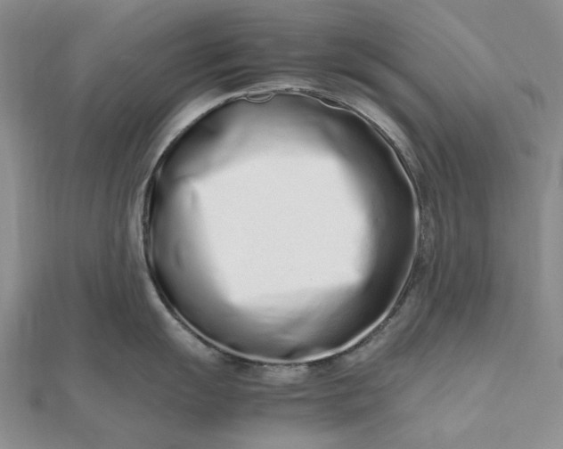 X0000112491055200908311428