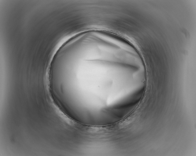 X0000112491056200908311428