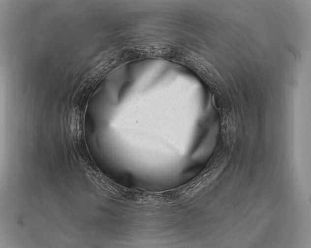 X0000112491058200908311427