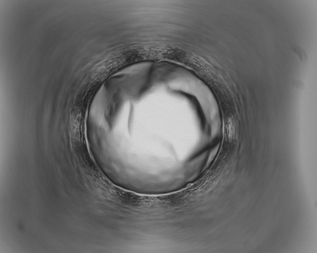 X0000112491059200908311427