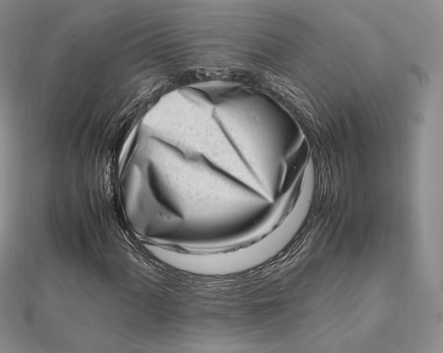 X0000112491060200908311427