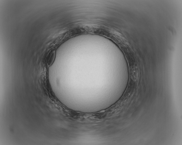 X0000112491061200908311427