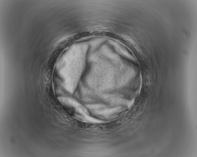 X0000112491063200908311427