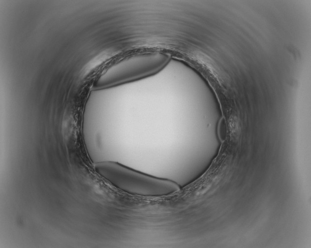 X0000112491064200908311427