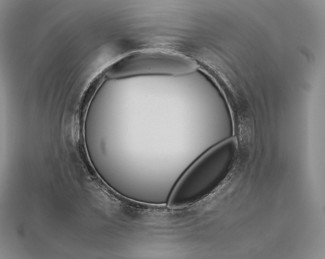 X0000112491069200908311427