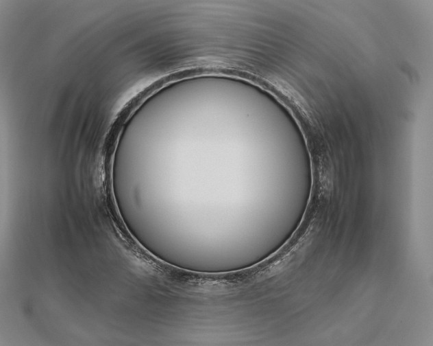 X0000112491070200908311427