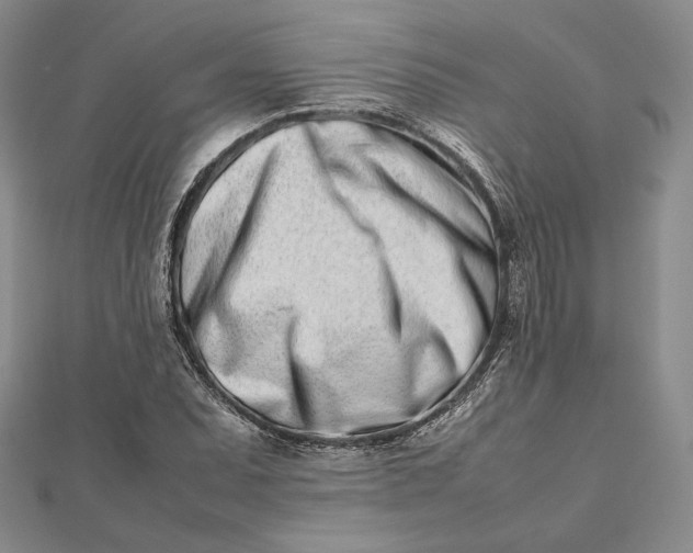 X0000112491071200908311427