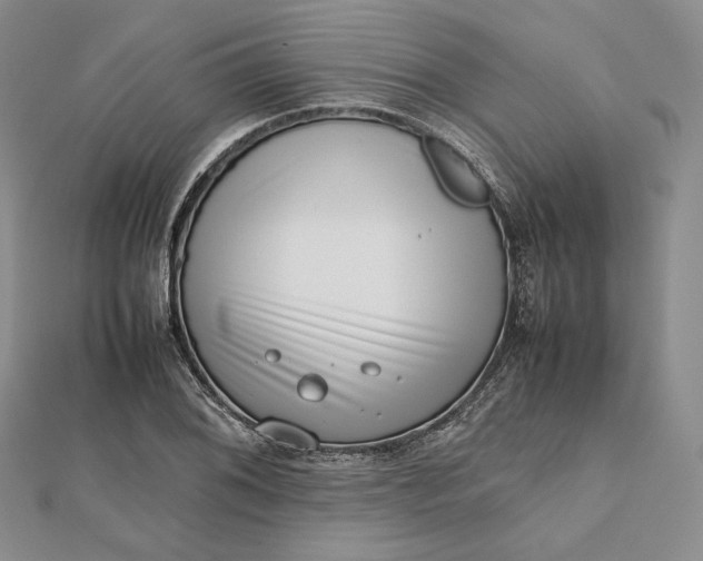 X0000112491076200908311427