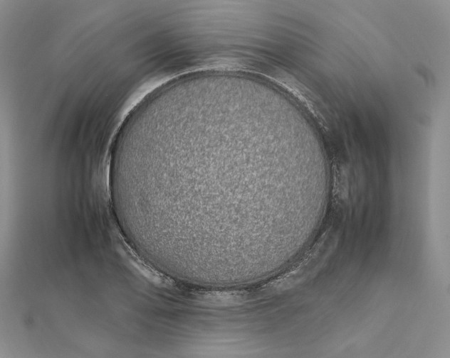 X0000112491078200908311427