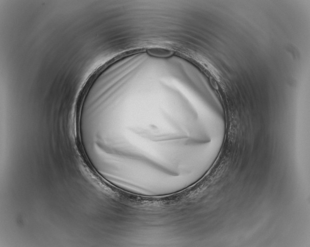 X0000112491080200908311427