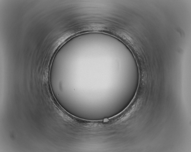 X0000112491081200908311427