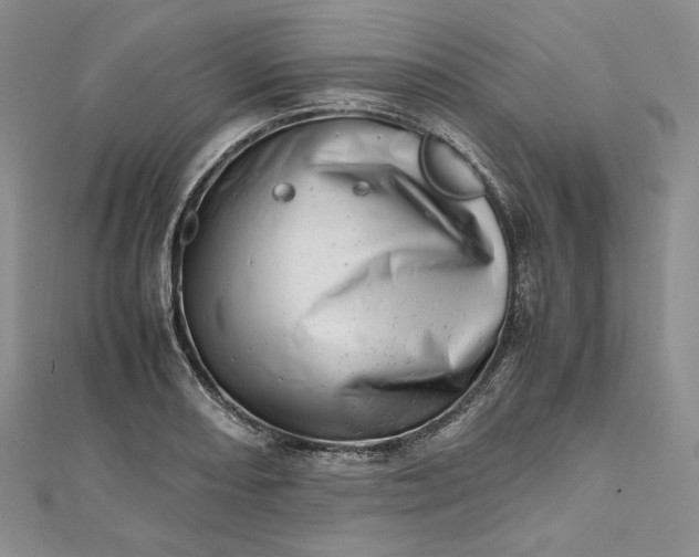 X0000112491082200908311427