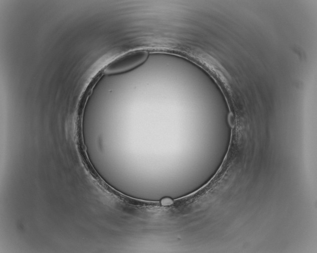 X0000112491085200908311427